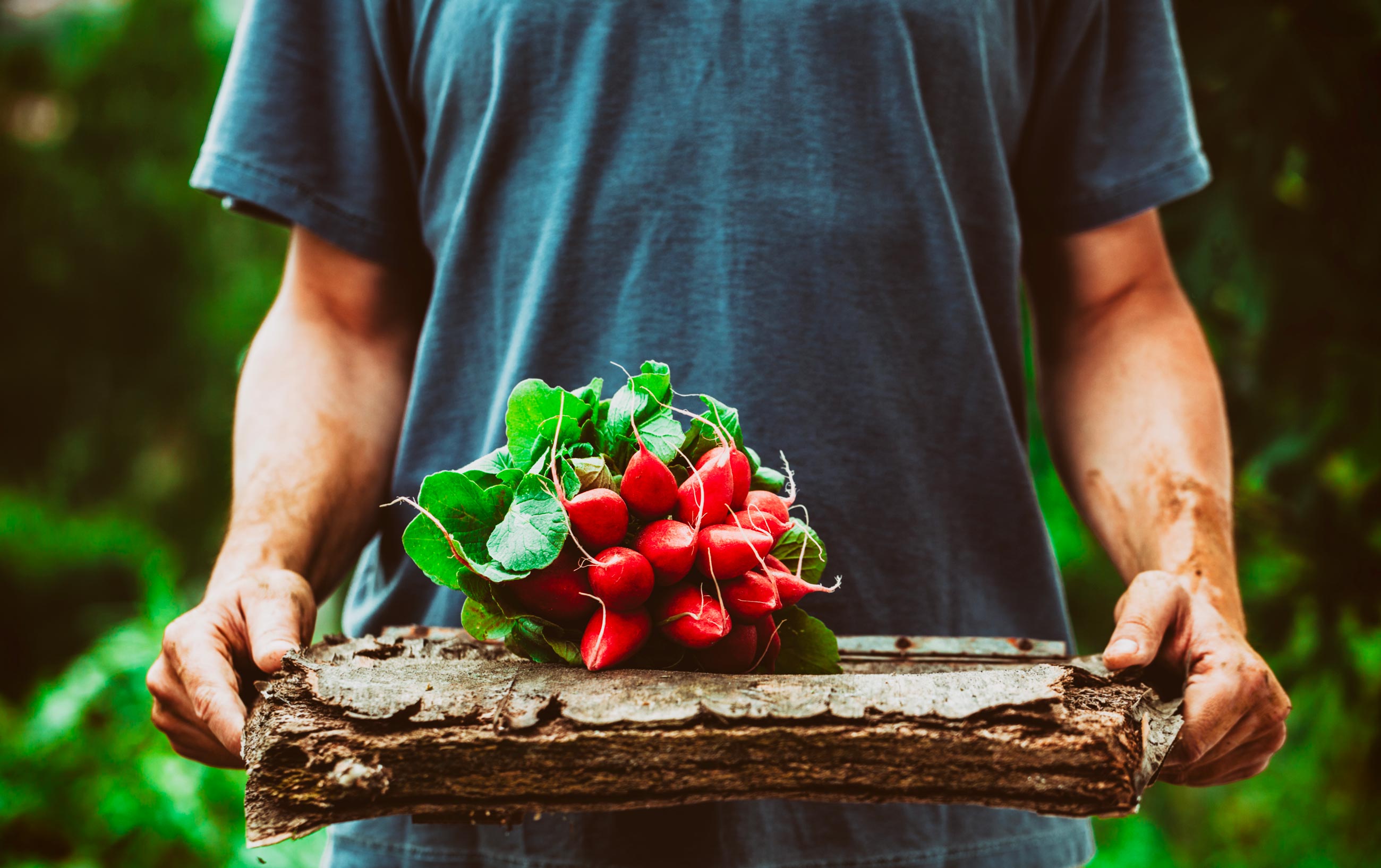 The fruits of the land
