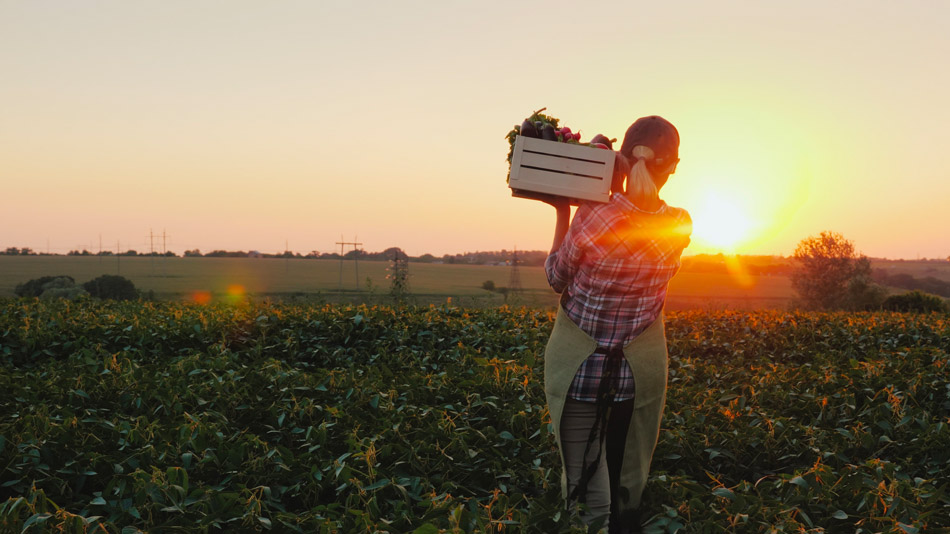 Farmer holding a crate of produce from the land